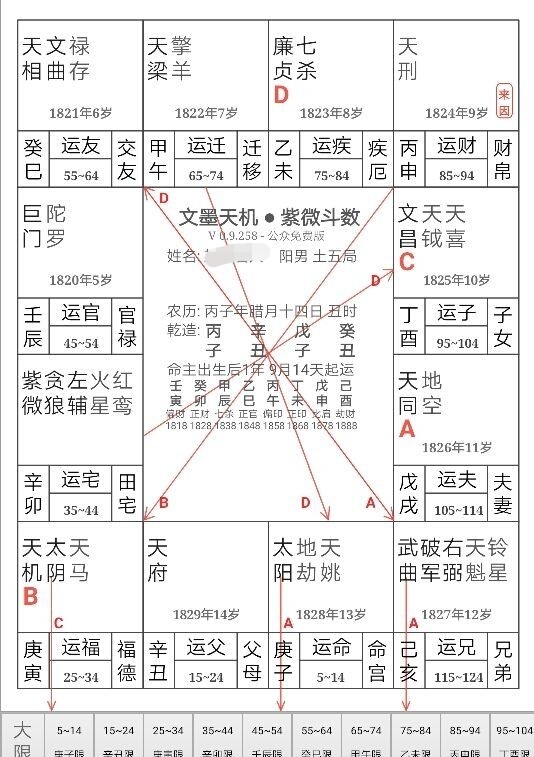 本文为实际命盘解读（一）不是将会作将会作宫