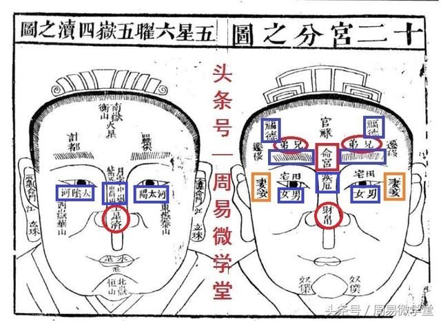 
太阳在命宫的性格特点