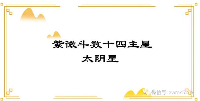 天同14主星吃什么运势旺到爆紫微斗数看偏财横财运