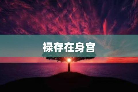 禄存在身宫