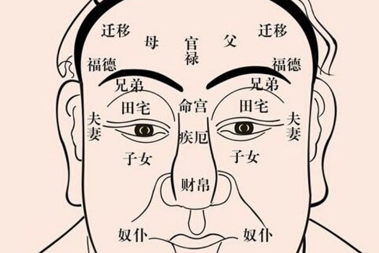 福德宫中有太阴和禄存命主来财轻松，躺着赚钱的人