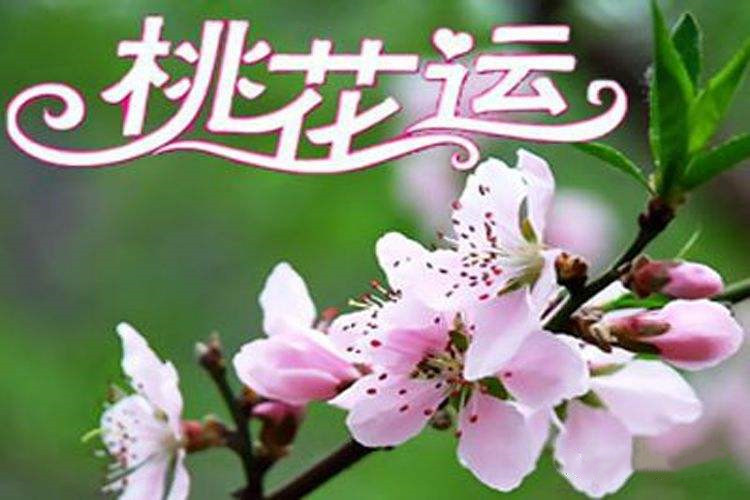 易述人生：2020年会有怎么样的桃花？