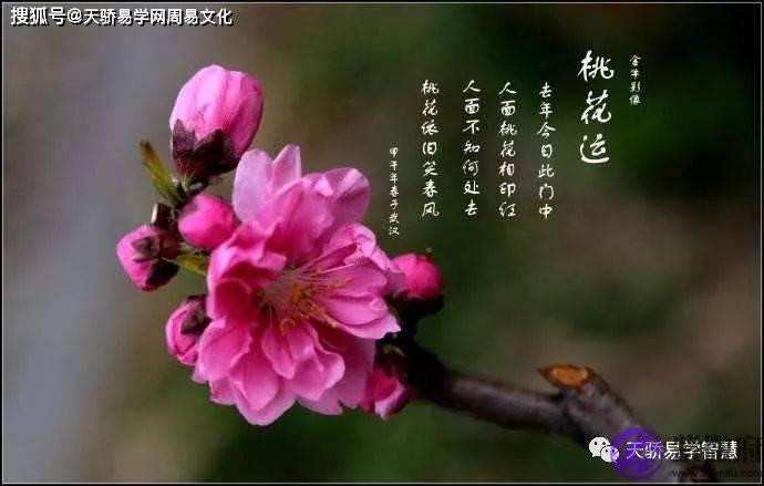 风水堂：八字里红鸾是什么意思