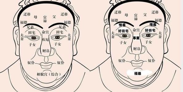 奴仆宫是什么意思