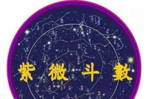 十四主星分析你的结婚后的生活最非常容易离异的主星竟然是这一