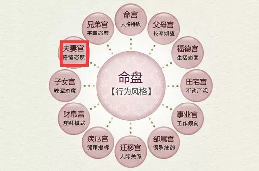 紫微斗数看配偶面貌，紫微排盘怎么解读4个问题