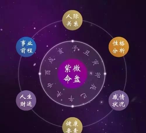 紫微斗数天相星奴仆宫命理好不好？