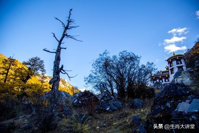 这四个星座中秋节前桃花运势极好，天蝎座和双鱼座