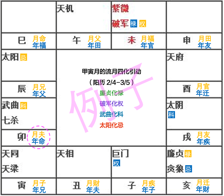 钮羊羊姐姐：如何从紫微斗数流月落入12基本盘面