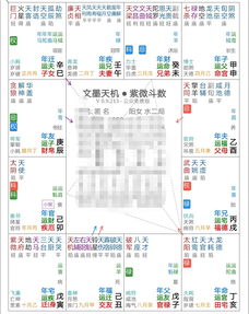 紫微斗数流年怎么看（流年宫位解析：洞悉命运走势，揭示幸福归宿！）