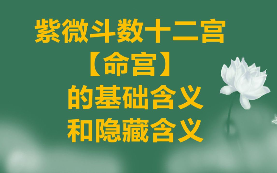 紫微斗数命宫化科入十二宫的含义解读