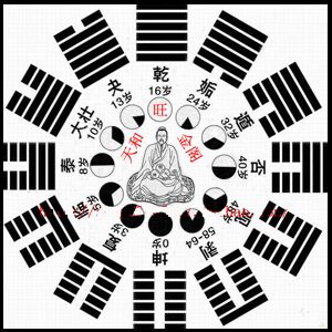 紫微斗数：起源于唐朝的占卜学术，探索生命预测与运势变化