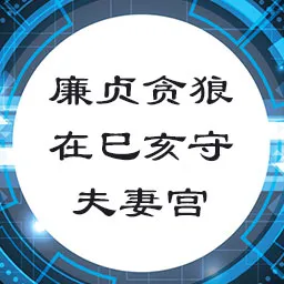 廉贞贪狼在巳亥守夫妻宫，天相星坐丑未守命宫