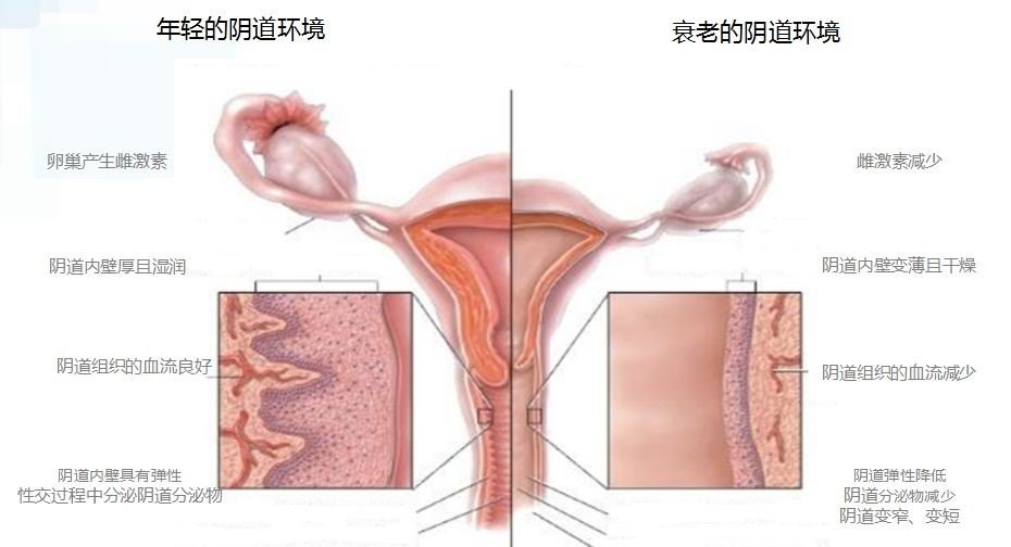 紫微斗数暗合技法：解析合伙、合作与主客支持度的秘密