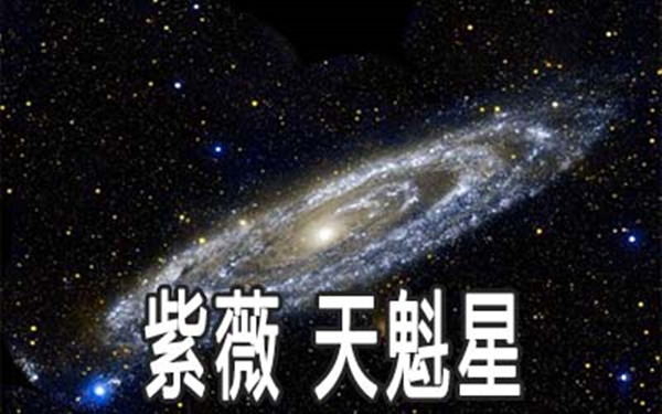 紫微斗数：解析紫微星在命宫的奥秘与应用