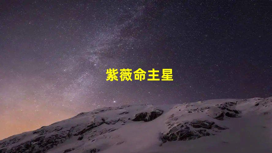 紫薇命主星