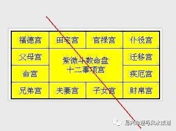 探究紫薇斗数在影视剧中的应用及离婚情况分析