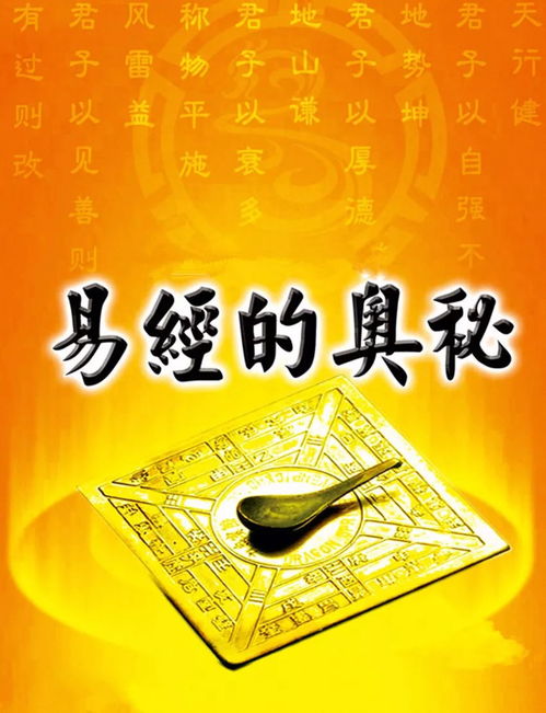 紫微斗数看姻缘：命宫在亥太阴同宫的性格特点与姻缘预测