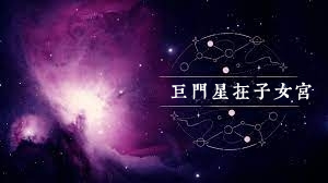 巨门星在子女宫