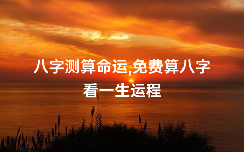 紫微斗数命盘解析：何时看小限盘、流年盘？内因与外因的探讨