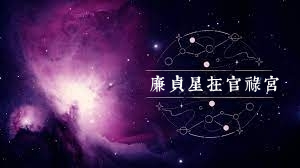 廉贞星在官禄宫